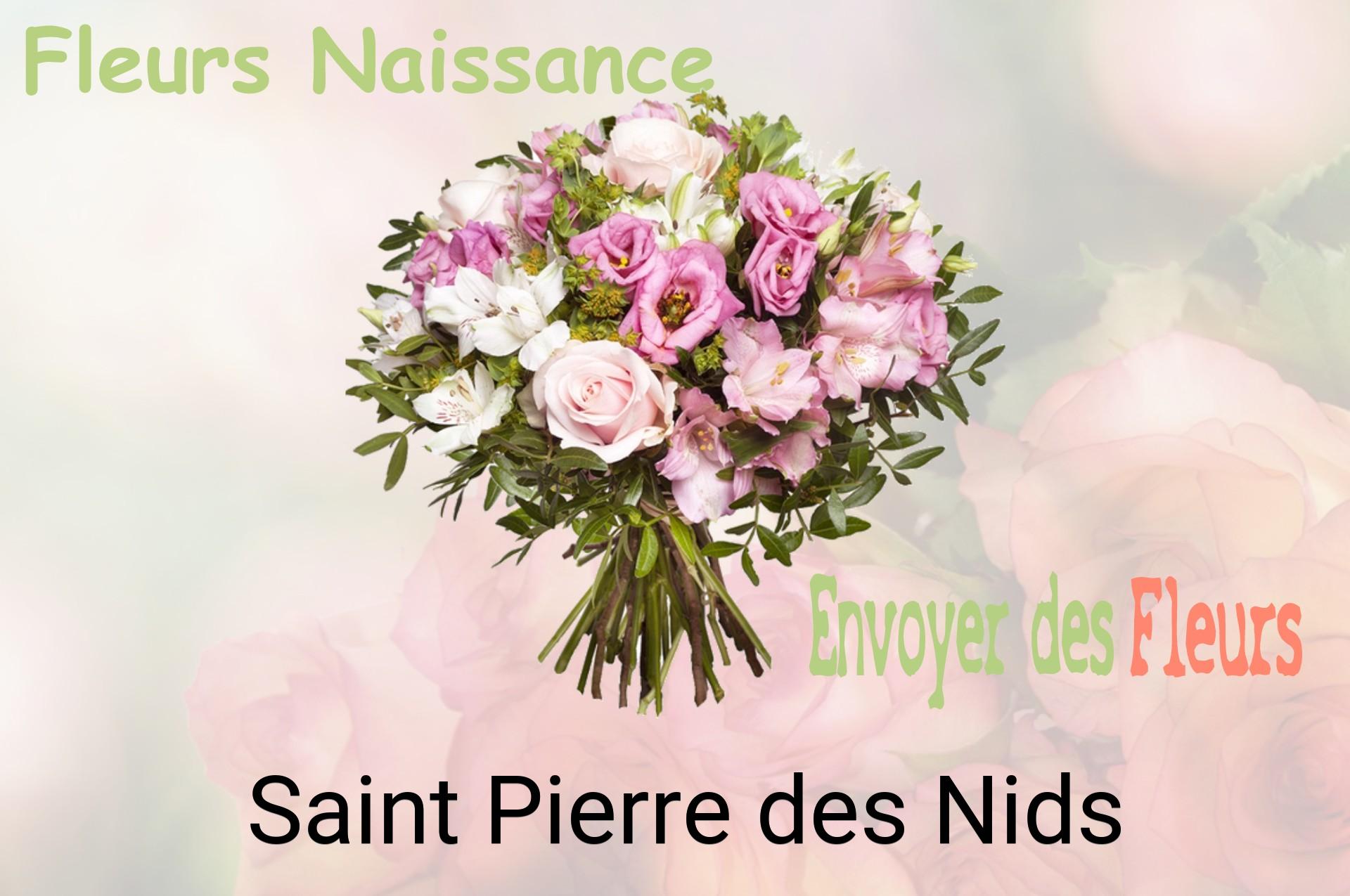 Bouquet de fleurs de naissance livré à Saint-Pierre-des-Nids